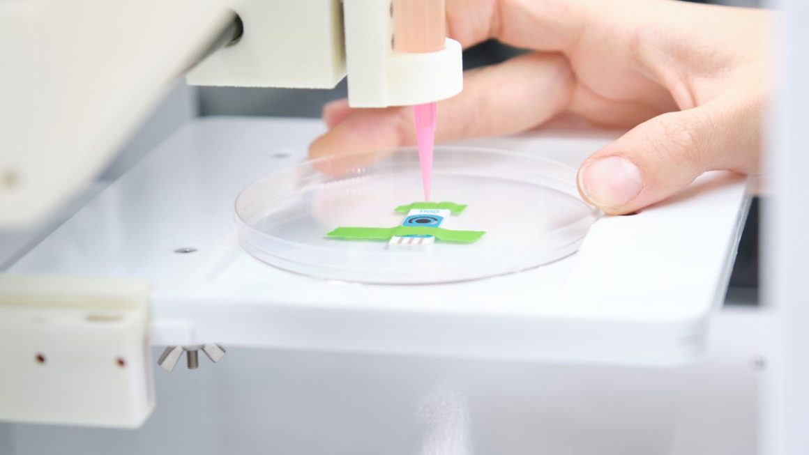 3D Bioprinting: Revolutionizing Organ Transplantation and Tissue Engineering